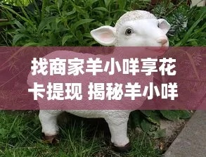 郴州羊小咩便荔卡兑现攻略，找对商家，轻松享便利