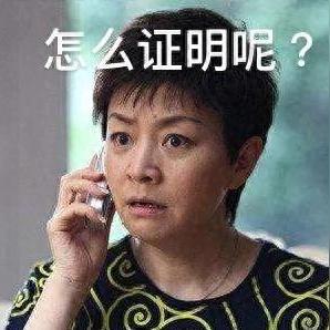 揭秘公安机关查开房记录的流程与应用