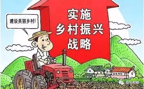 农村信用社如何化身乡村振兴金融活水，从贷款到服务全解析