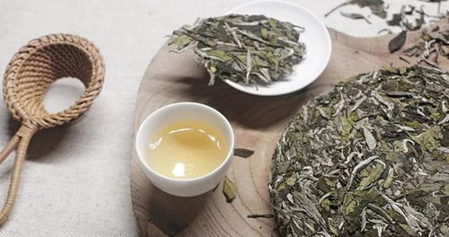 福鼎白茶加盟品牌推荐，品味好喝之道