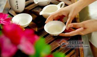 福鼎白茶加盟品牌推荐，品味好喝之道