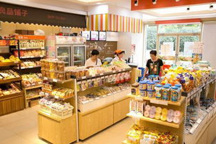 连锁加盟零食品牌大全