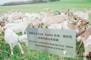 永顺县羊小咩便荔卡取现详解