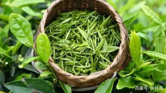 贵州有机茶叶品牌排名榜，生态好茶，从山野到舌尖的绿色之旅