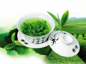 北京绿色茶叶品牌排名2023，喝出健康，选对茶！