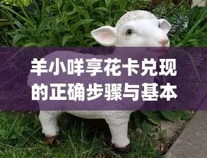 垫江羊小咩享花卡提现攻略，一步步教你如何操作，还有案例助你理解