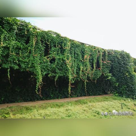 户外品牌爬山虎，品质与体验的完美结合