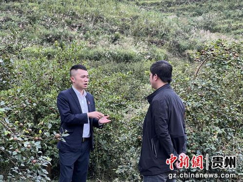 广西工商银行助力乡村振兴的三步走战略，从田间地头到金融赋能