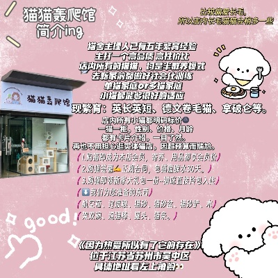 加盟猫咪宠物店热门品牌推荐