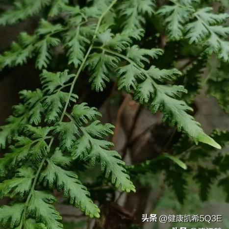 查开房间，安全与隐私的平衡术