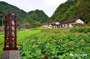西安乡村旅游资源现状，潜力与挑战并存的发展图景