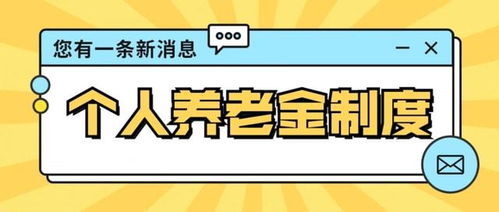 学生党电脑选购指南，高性价比品牌推荐与避坑指南