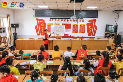 乡村振兴中的党员先锋力量，从田间地头到百姓心坎上的实践与担当