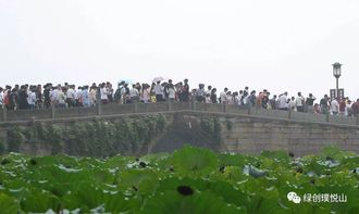 江都景点人气排行榜2023最新出炉！这份游玩指南你必看！