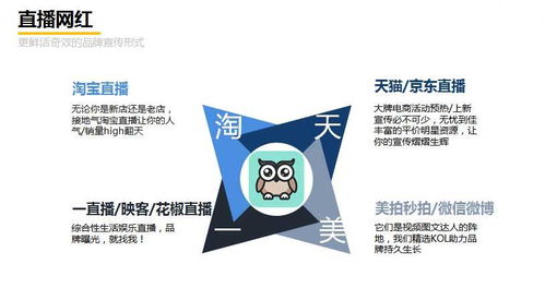 蒙牛广告投稿网站全攻略，如何用创意赢得品牌合作？