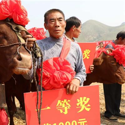 乡村振兴的三大法宝，产业、人才、生态