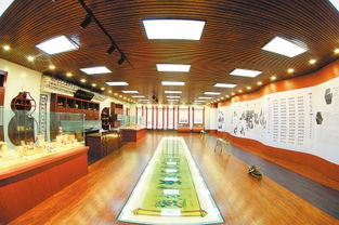 陇西中医药品牌发展之路