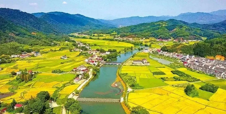 乡村振兴的五大关键，乡镇如何抓住机遇促发展