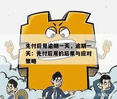 淘宝先用后付额度不足？原因与应对策略大揭秘！