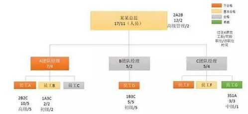 白条零钱提现详解，操作指南、注意事项与案例分析