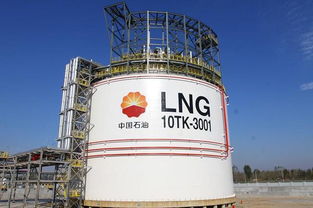 2023年陶瓷环滤材料品牌深度解析，如何选对黄金过滤芯？