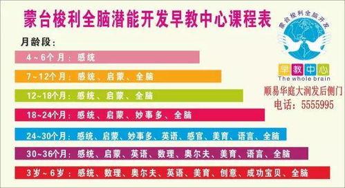 自然脑早教加盟条件概览