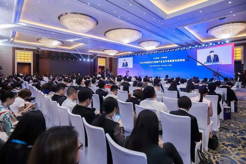 打造专业美容院的胸罩品牌化策略