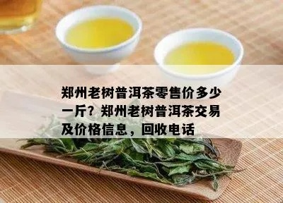 郑州茶叶回收全攻略，如何找到靠谱的回收商？
