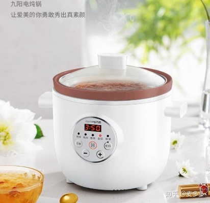 品牌正品陶瓷电炖锅价格全解析，如何花最少的钱买到最合适的？