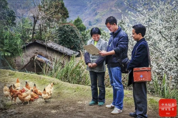 乡村振兴当头雁，村支书如何带领乡亲们飞出好成绩？