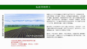 早教招商加盟方案设计