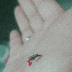 揭秘监控聊天记录删除恢复的秘密—全方位指南