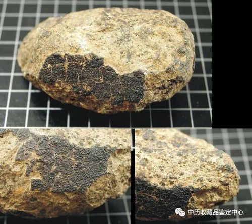 灰色岩石玩具品牌全解析，从热门品牌到选购指南