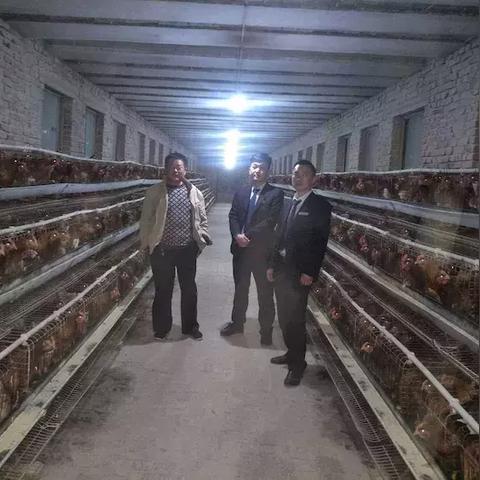 振兴乡村看第一村长—第一书记的实战指南
