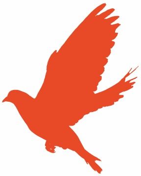 国风新韵，揭秘红色白边旗袍背后的品牌故事与穿搭密码