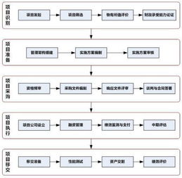 白条提现程序详解，操作指南与案例分析