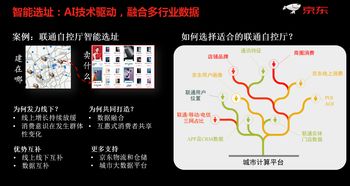金东京东白条兑现攻略大解析，实用方法与案例分享