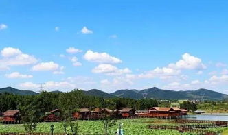 富县必玩景点排行榜！最新版攻略+隐藏玩法大公开