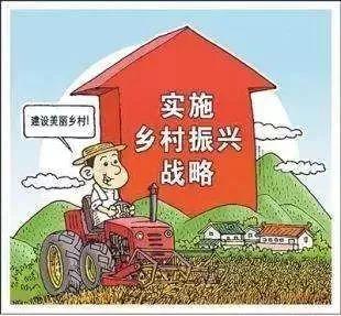 乡村振兴四支队伍分工指南，谁来做？怎么做？怎么管？