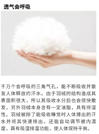 软到像云朵！揭秘鸭绒被的选购与保养全攻略