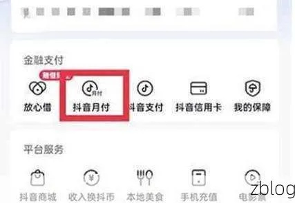 如何利用抖音月付额度进行购物？