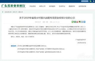 乡村振兴专项资金管理全解析，流程、案例与常见问题