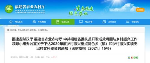 乡村振兴专项资金管理全解析，流程、案例与常见问题