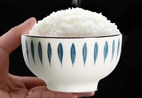 陶瓷品牌加厚饭碗选购全攻略，厚实又耐用，这6大品牌闭眼入不踩坑
