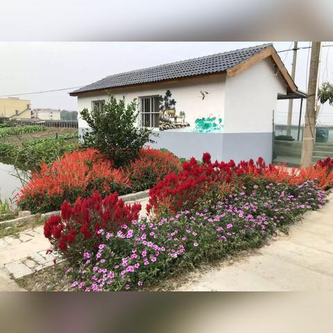 保险公司如何助力乡村振兴？这份指南带你读懂保障+发展新路径