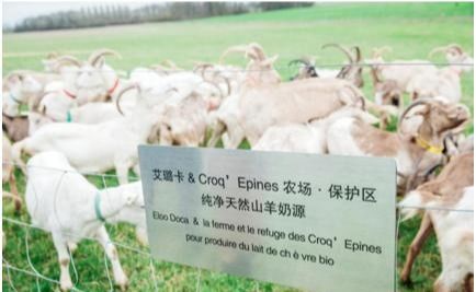 邳州羊小咩便荔卡取现攻略