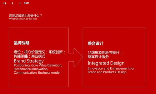 母婴直销品牌，全面解析与案例分享