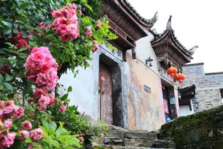 金坛区景点人气排行榜，本地人私藏的宝藏地都在这！
