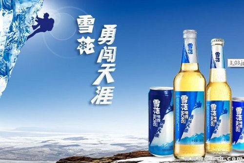 包头啤酒代理加盟品牌店汇总