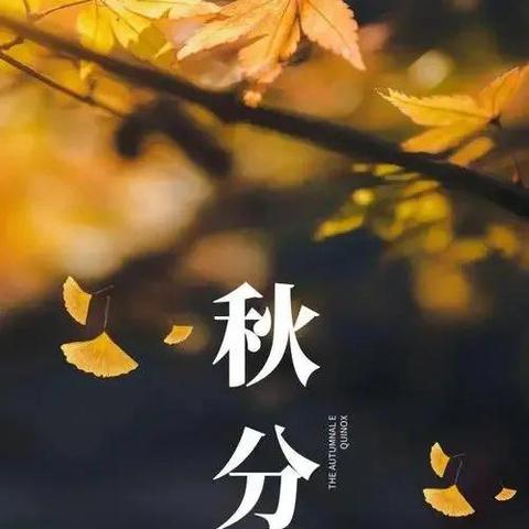 国风新韵，2023女士长款旗袍品牌图鉴与穿搭指南